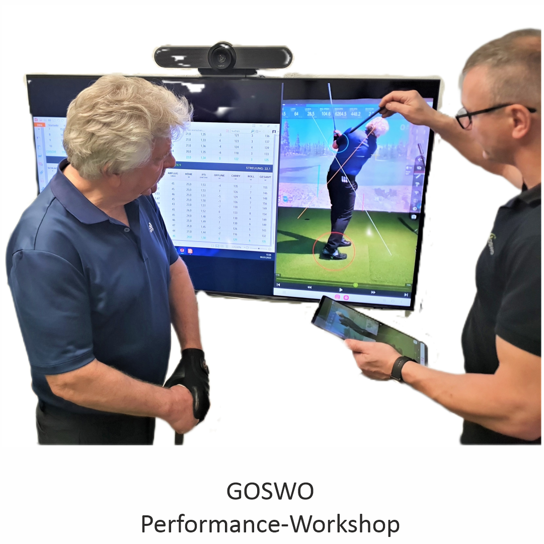 GOSWO performance workshop